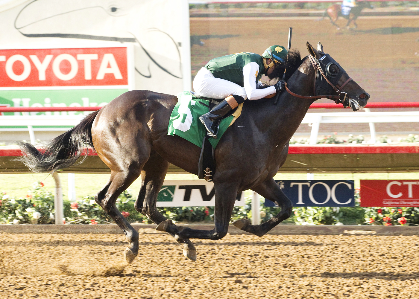 Midnight Pleasure wins a maiden race at Del Mar