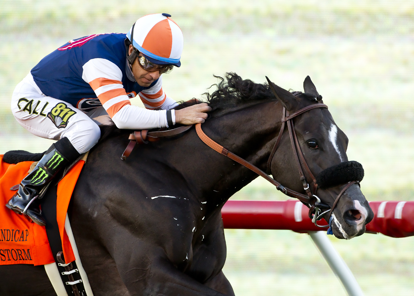 Midnight Storm wins 2015 Seabiscuit Handicap