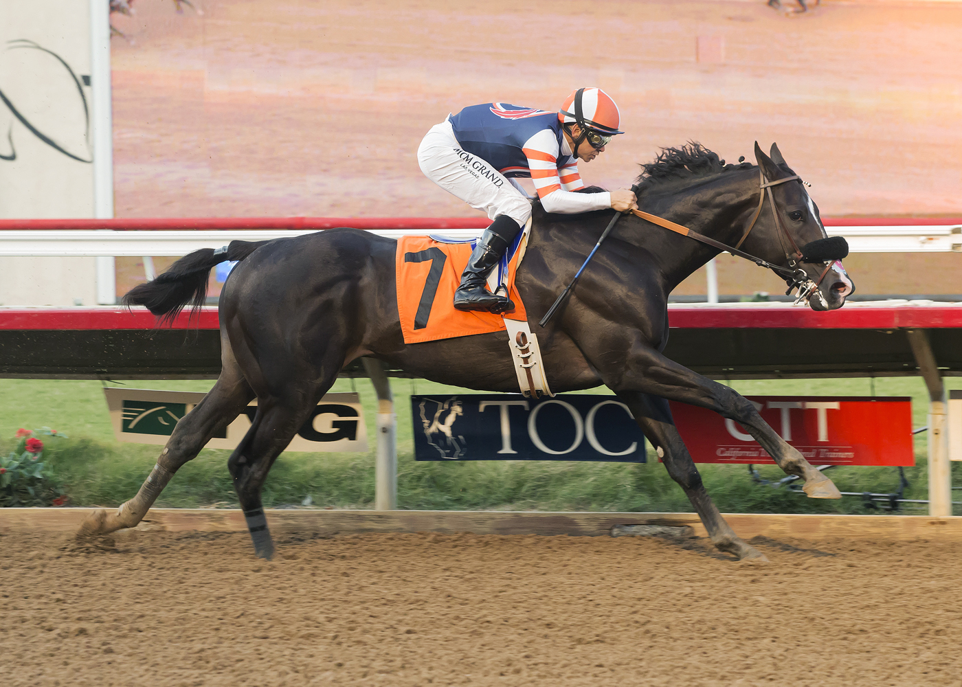 Midnight Storm wins the Native Diver