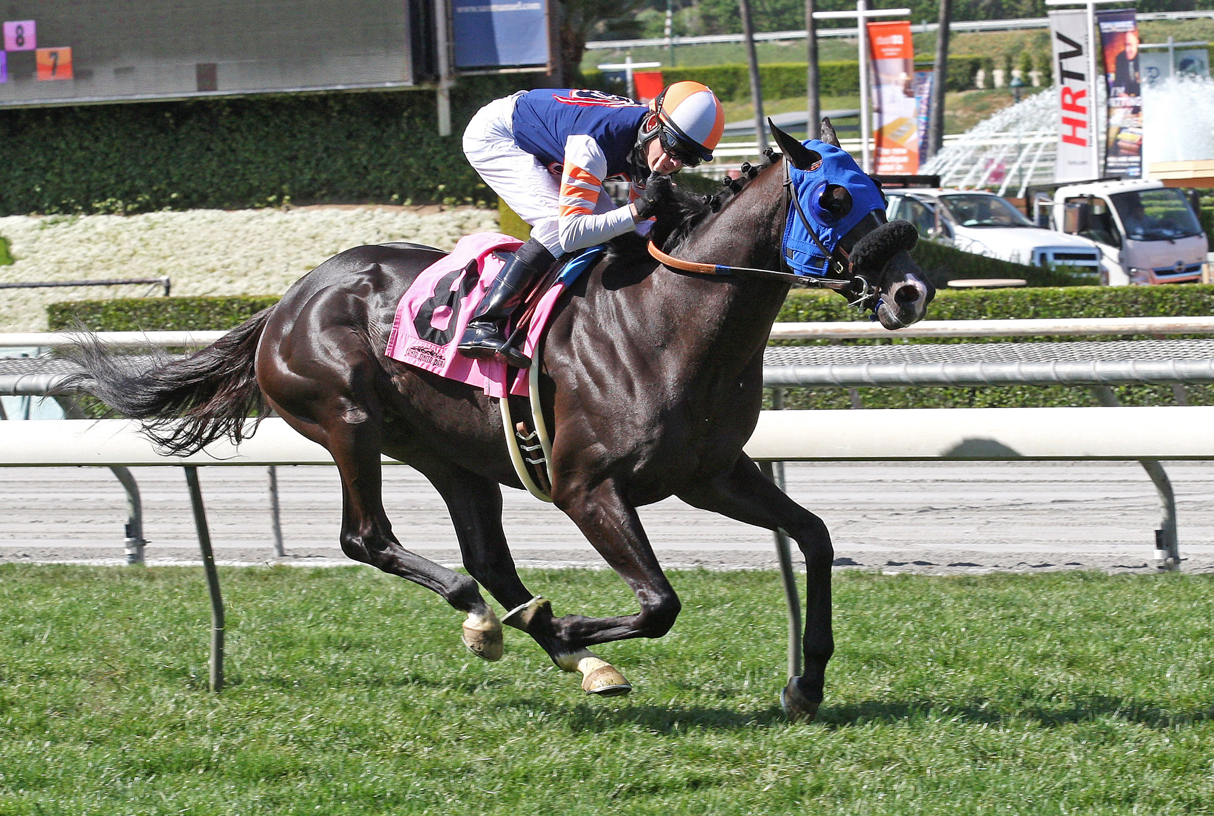 Midnight Storm wins an allowance race