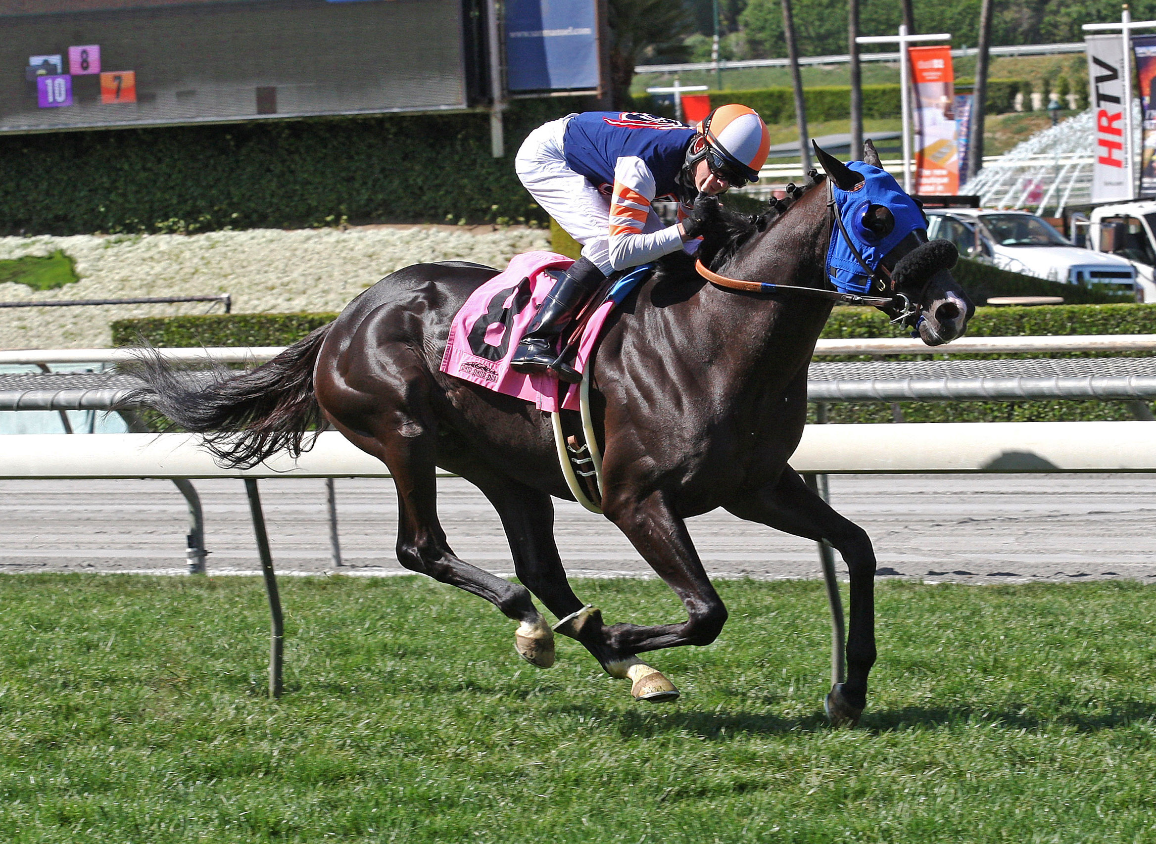 Midnight Storm wins an allowance race