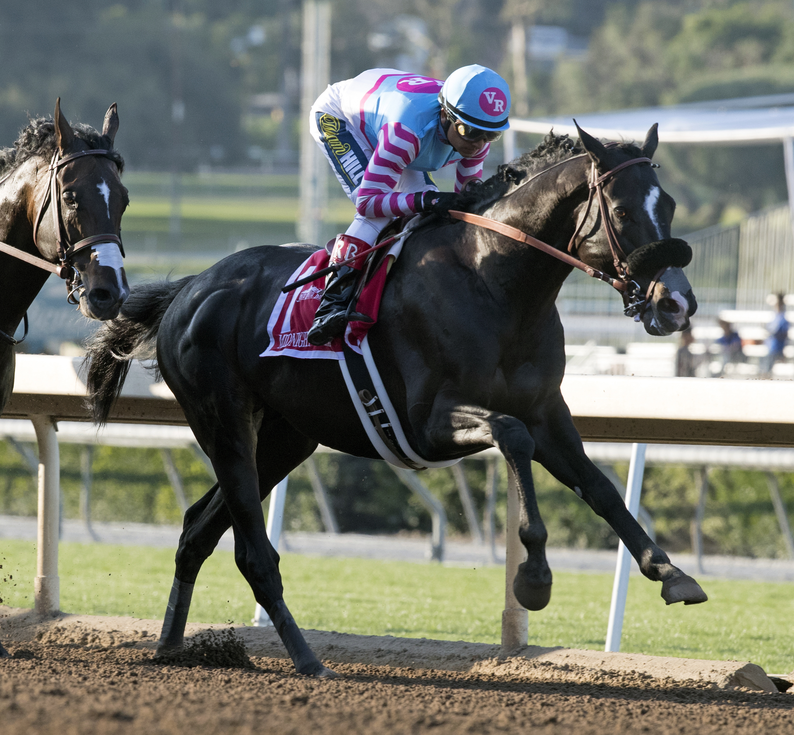 Midnight Storm finishes second in the Santa Anita Handicap