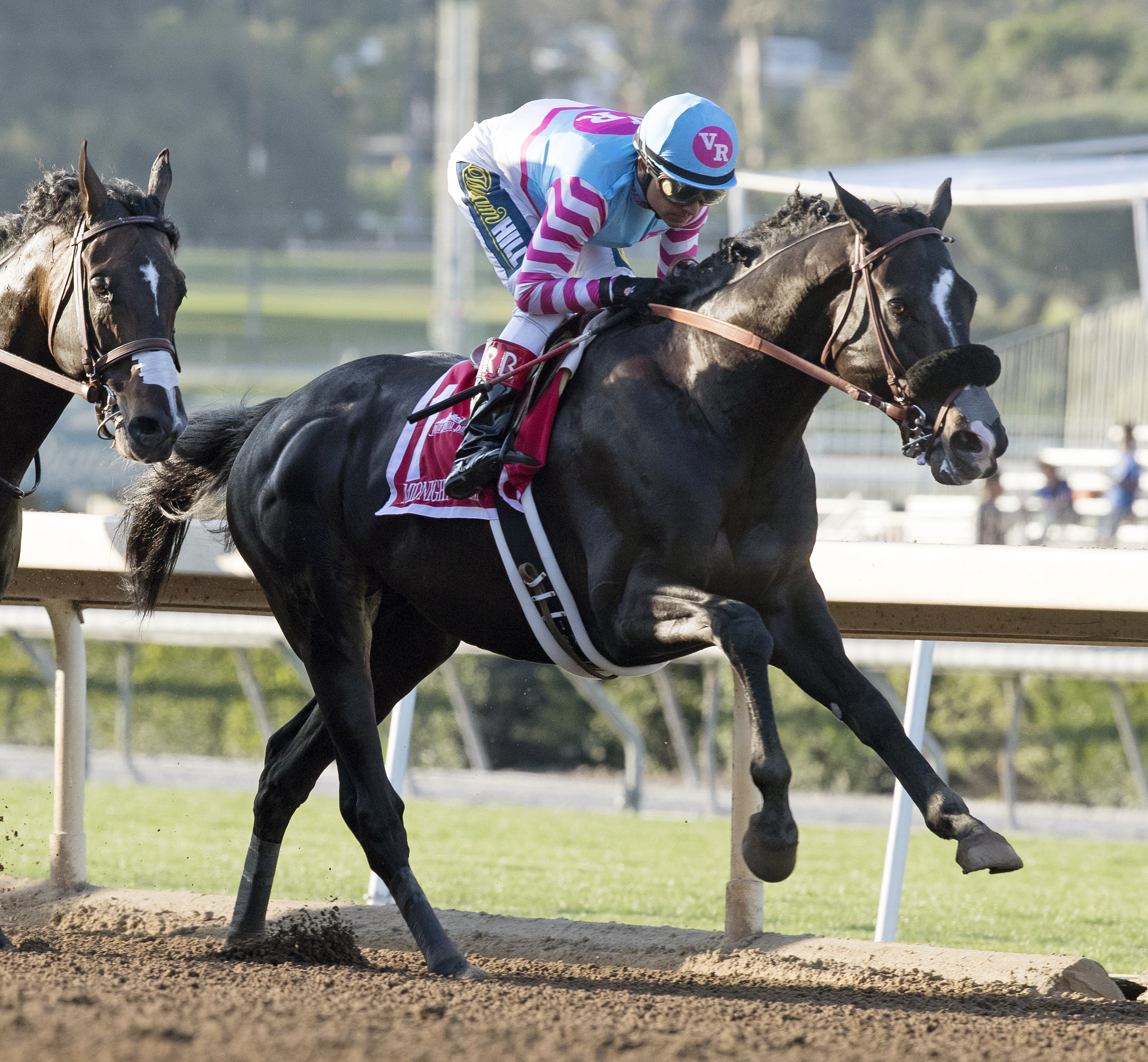 Midnight Storm finishes second in the Santa Anita Handicap