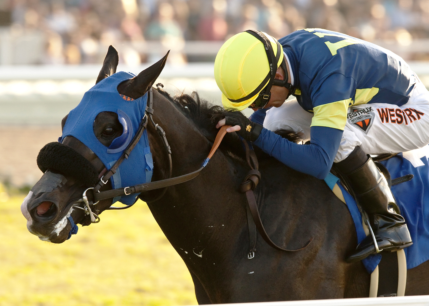 Midnight Storm wins the Del Mar Derby