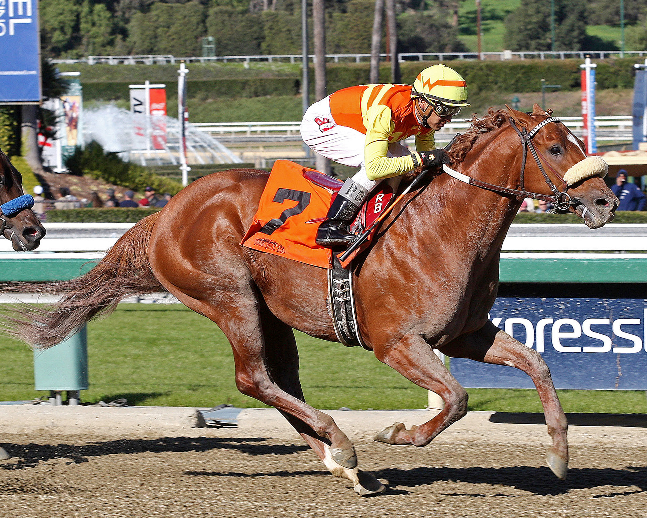 Midnight Transfer, allowance race
