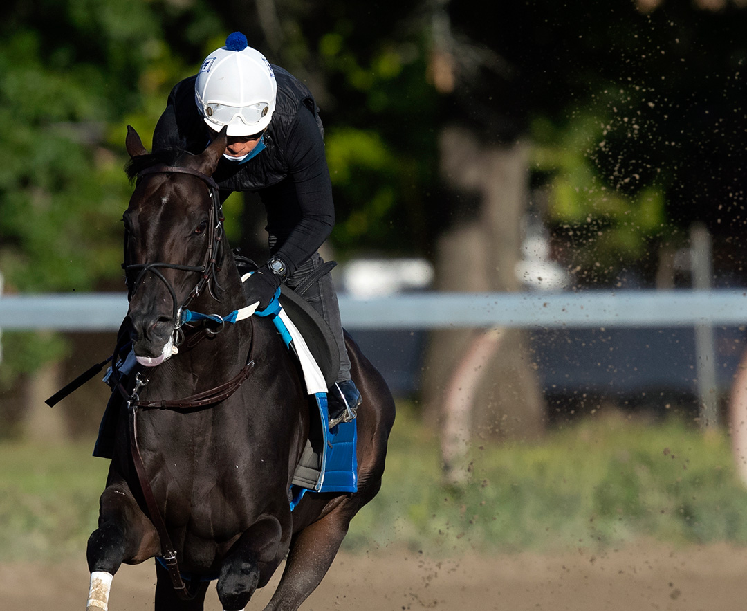 Midnight Bisou trains at Churchill Downs Aug. 30