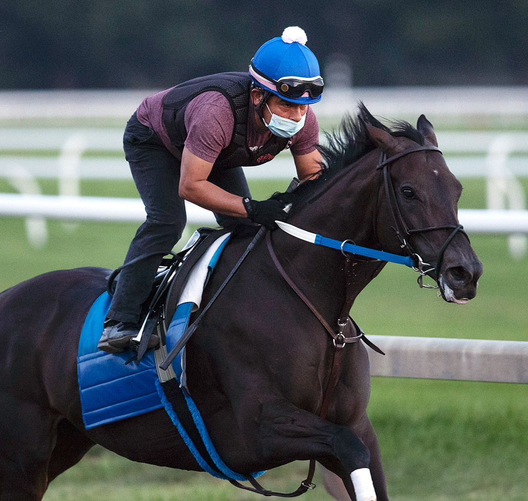Midnight Bisou trains at Saratoga Race Course on July 27