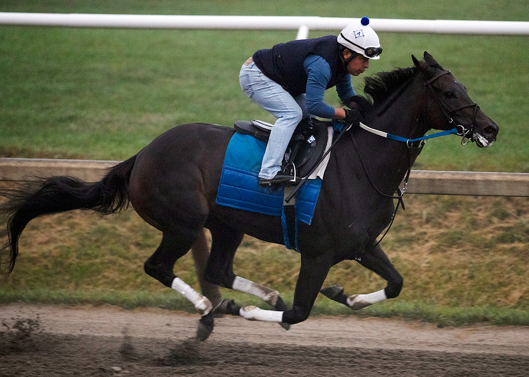Midnight Bisou trains at Saratoga Race Course on Sept. 28
