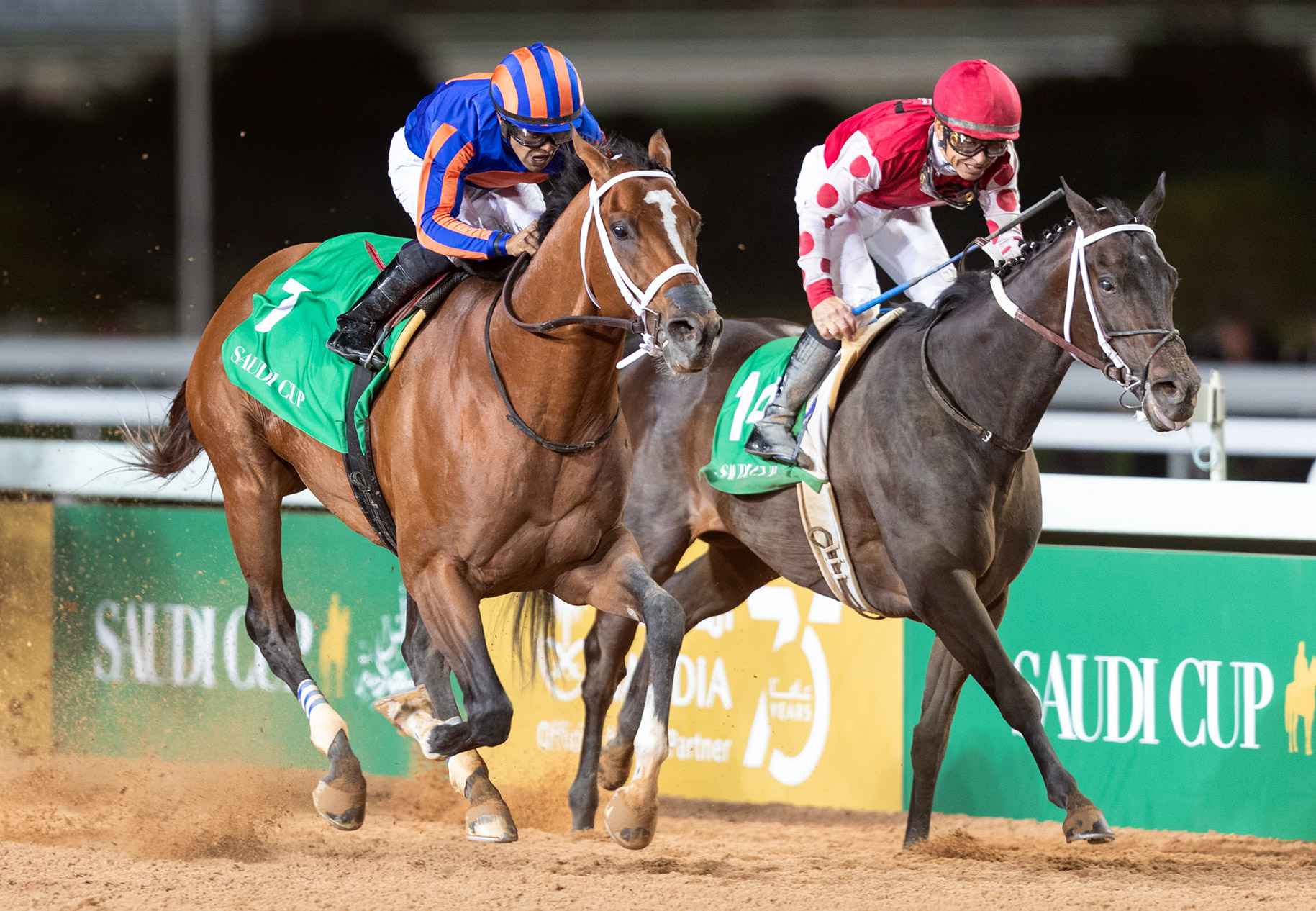 Midnight Bisou (right) finishes second in the Saudi Cup at King Abdulaziz Racetrack