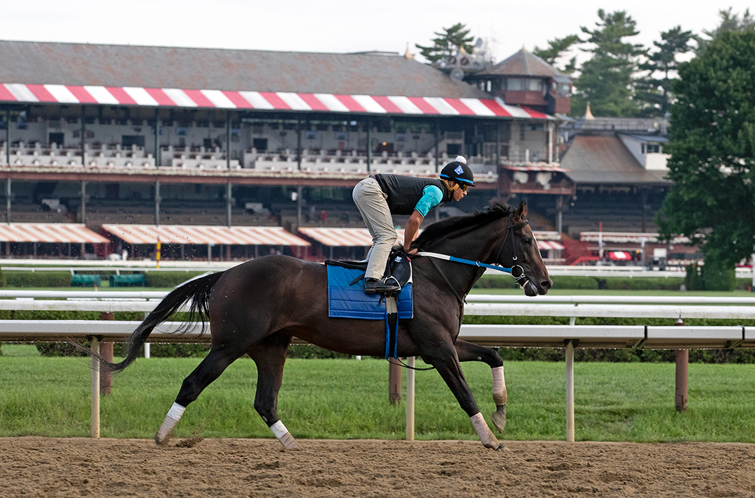 Midnight Bourbon gallops at Saratoga Race Course on Aug. 5