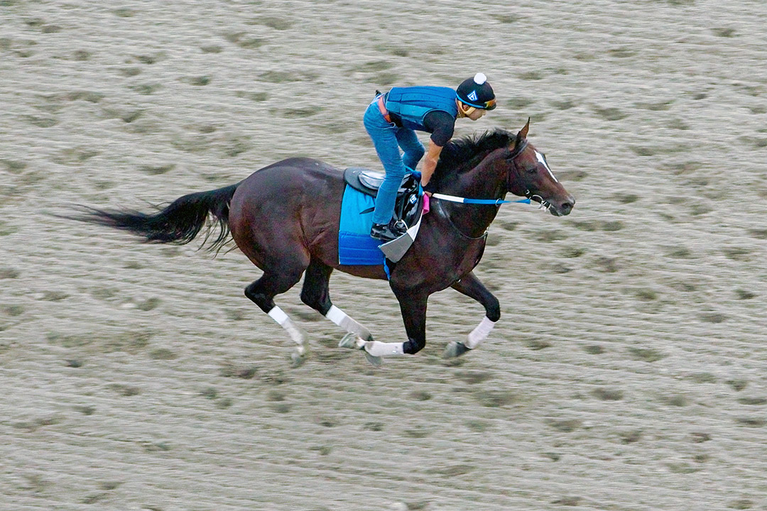 Midnight Bourbon trains at Parx Racing on Sept. 23