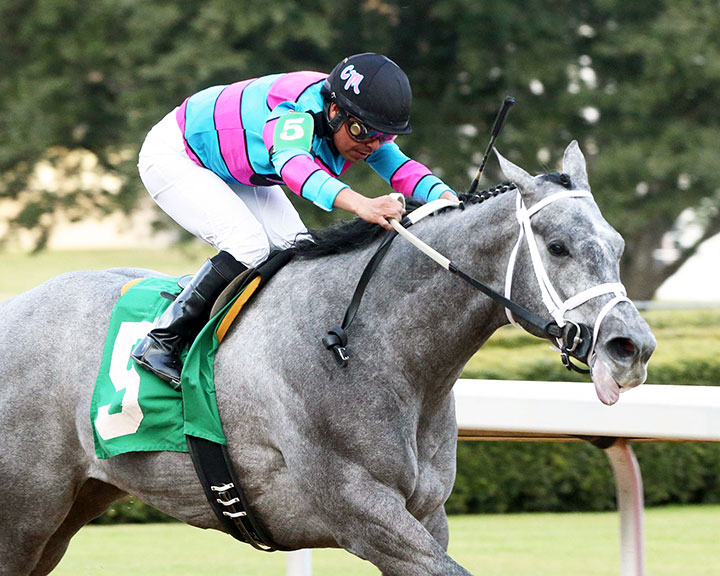 Midnight Fantasy wins the 2020 Spring Fever Stakes at Oaklawn