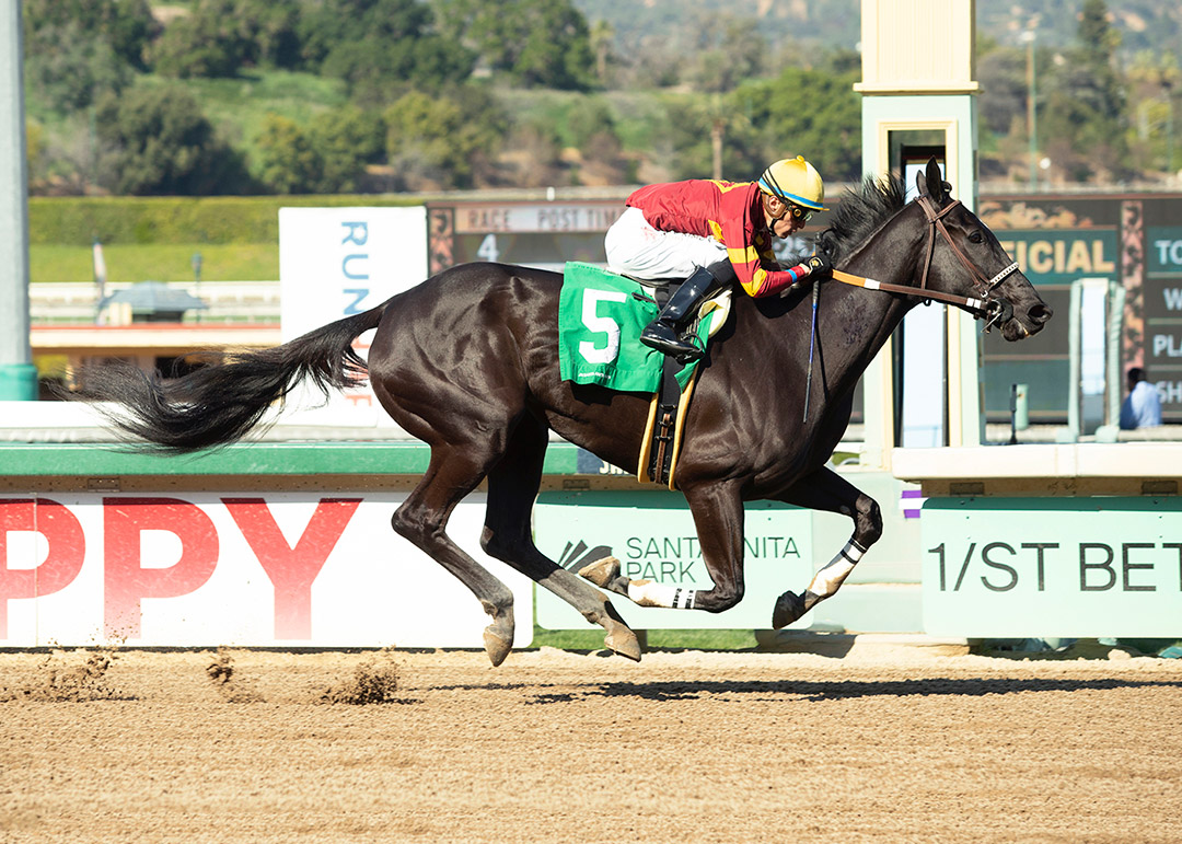 Midnight Jamboree wins a Feb. 25 allowance at Santa Anita