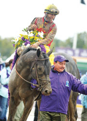Midnight Lute