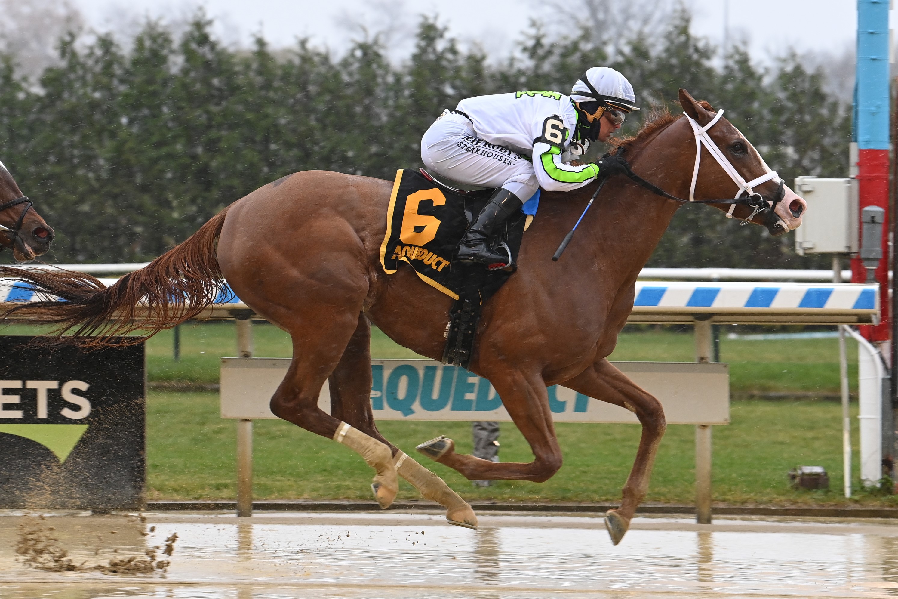 Midtown Lights wins maiden race at Aqueduct Dec 3 2022