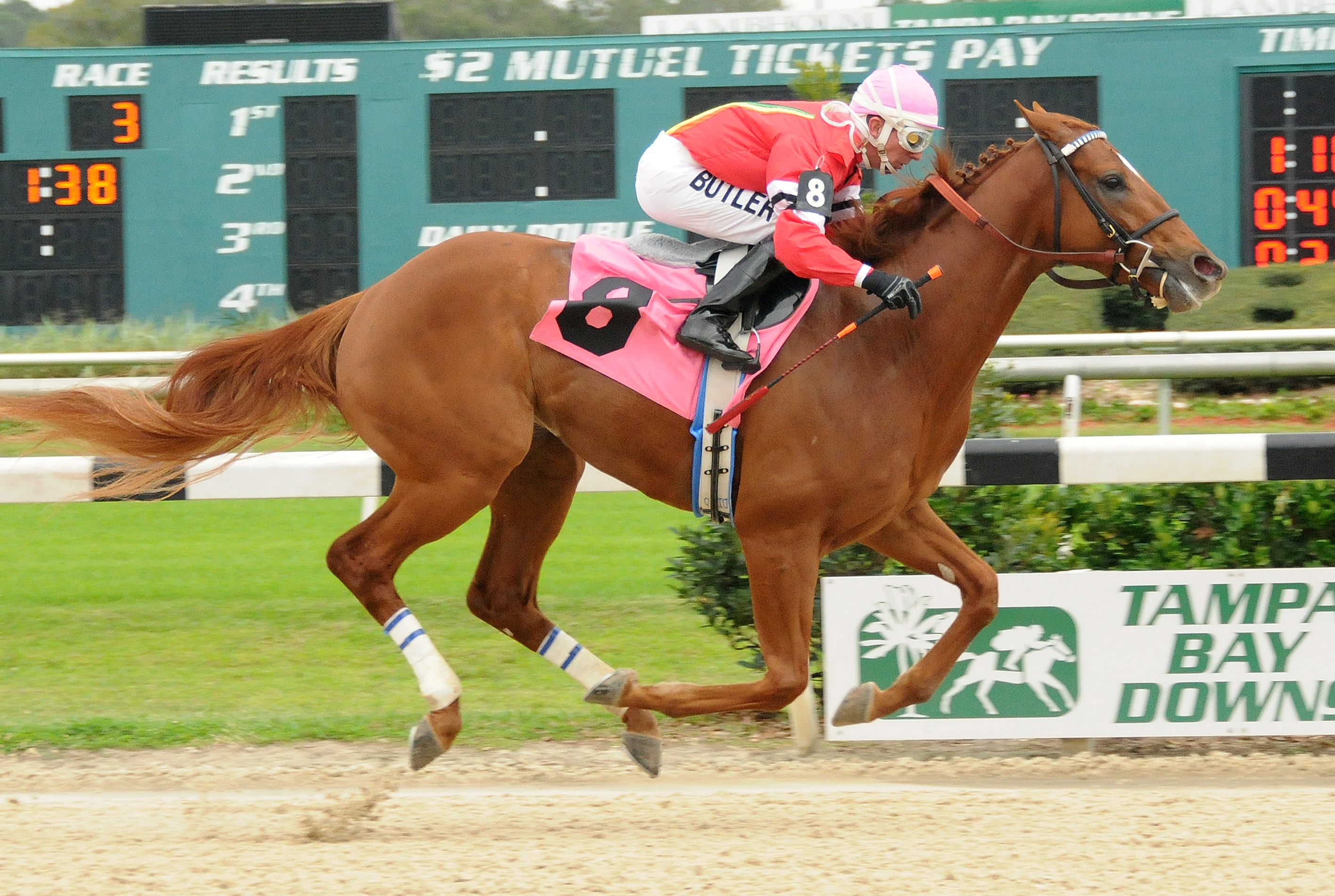 Mighty Brown, Pasco Stakes