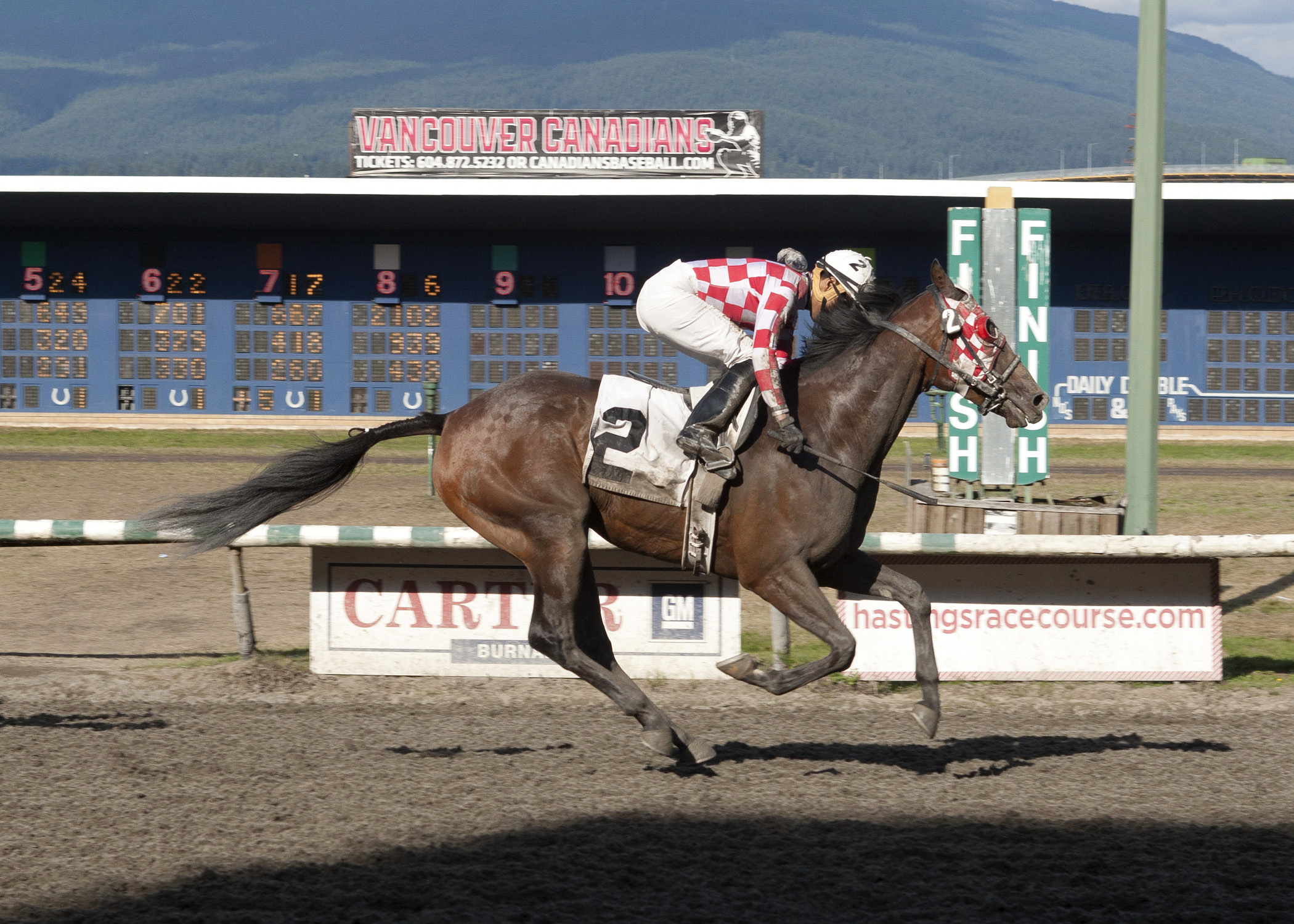 Mighty Fraser wins the CTHS Sales Stakes