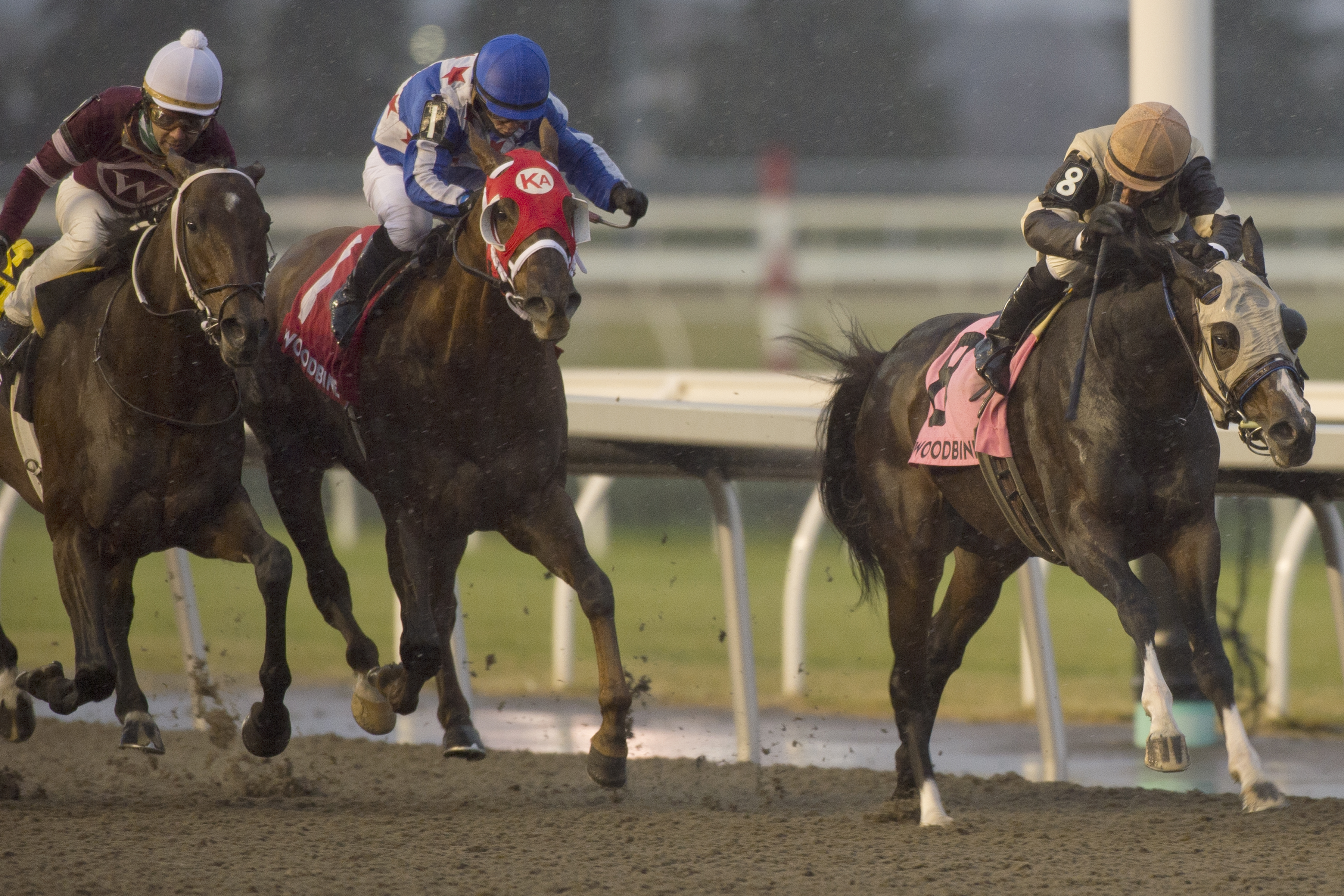Mighty Heart en route to victory in the Autumn Stakes on Nov 14 2021 at Woodbine