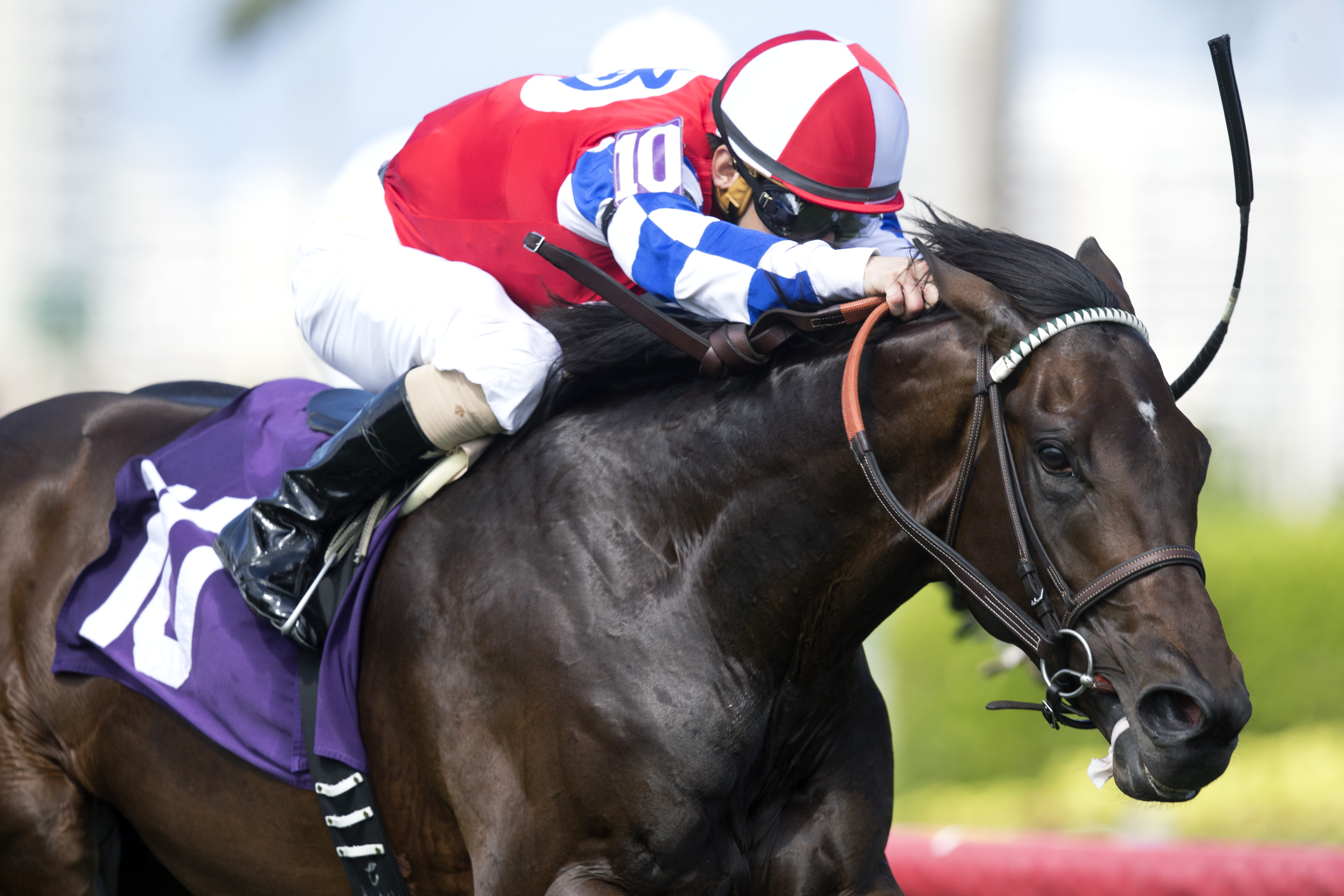 Mighty Mo wins a maiden race on March 26