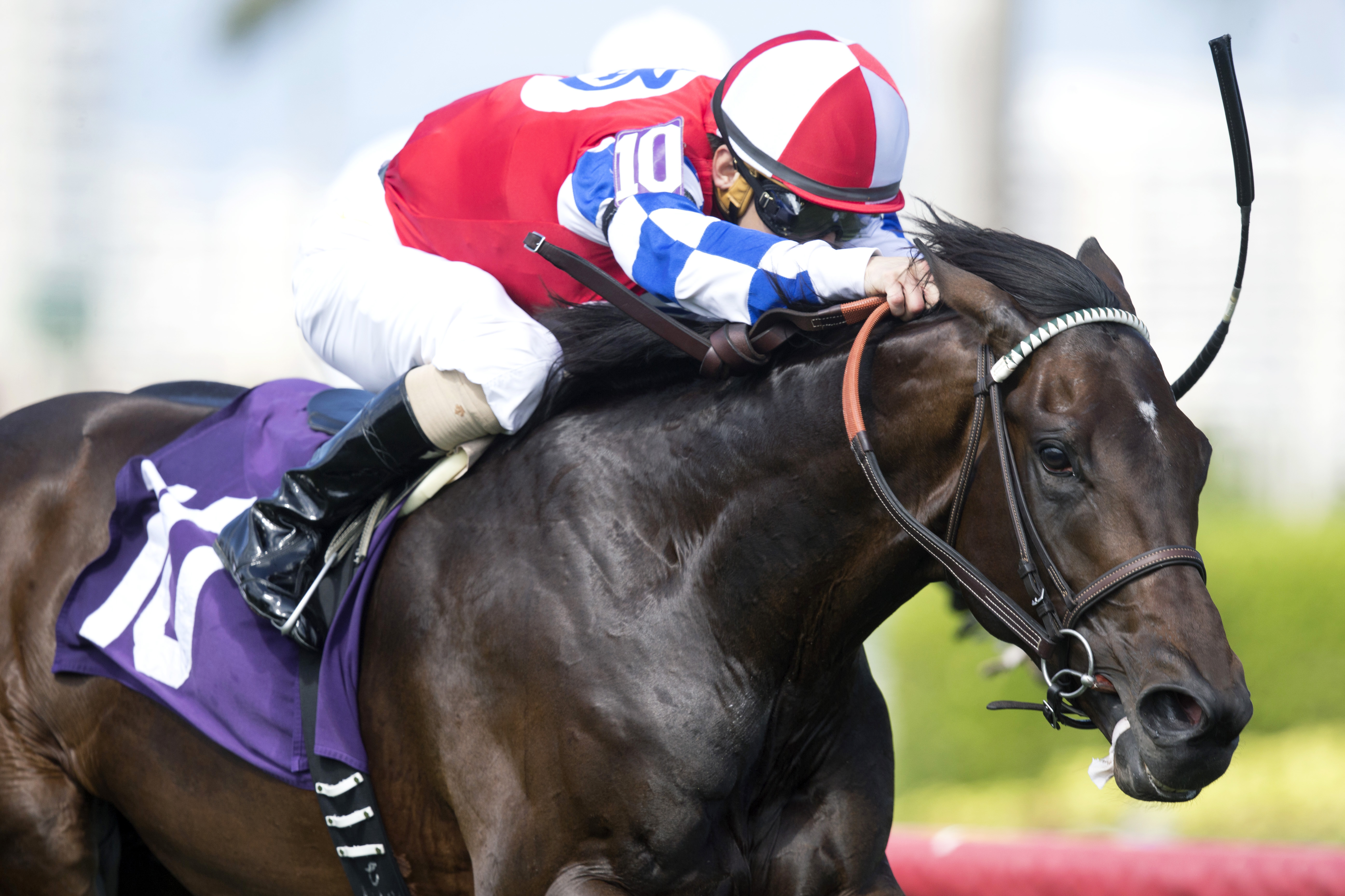 Mighty Mo wins a maiden race