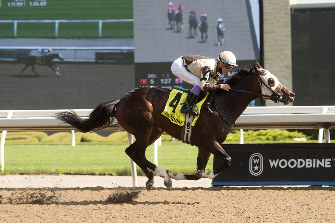 Mighty Heart wins the 2021 Dominion Day Stakes at Woodbine