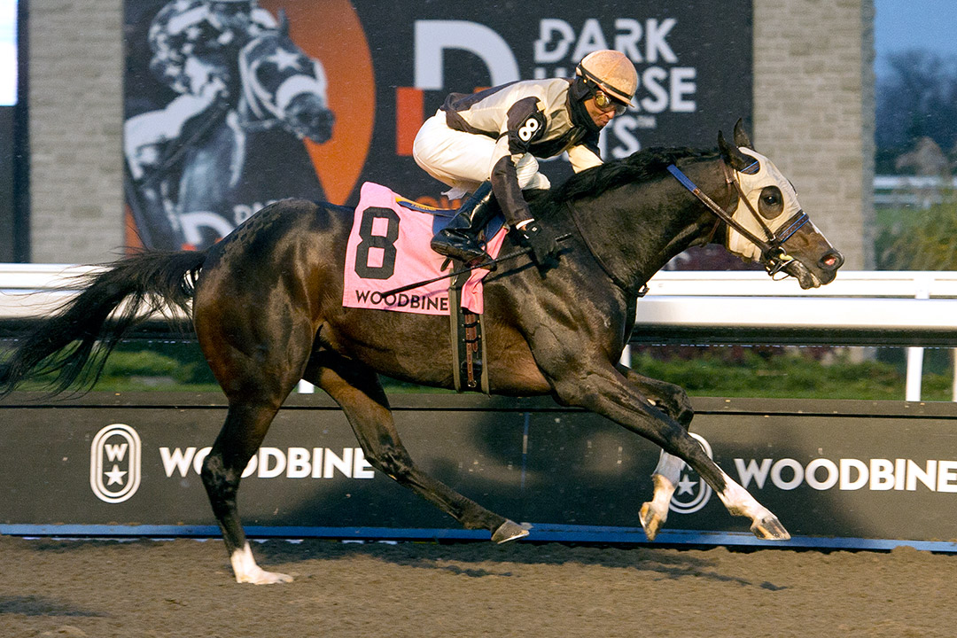 Mighty Heart wins the 2021 Autumn Stakes at Woodbine