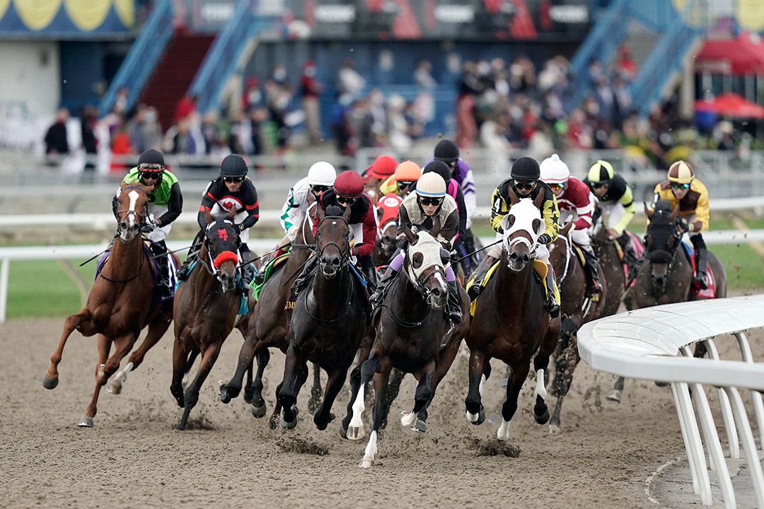 Woodbine Racetrack