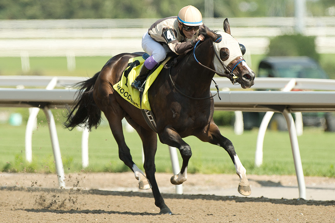 Mighty Heart wins the 2021 Dominion Day Stakes at Woodbine