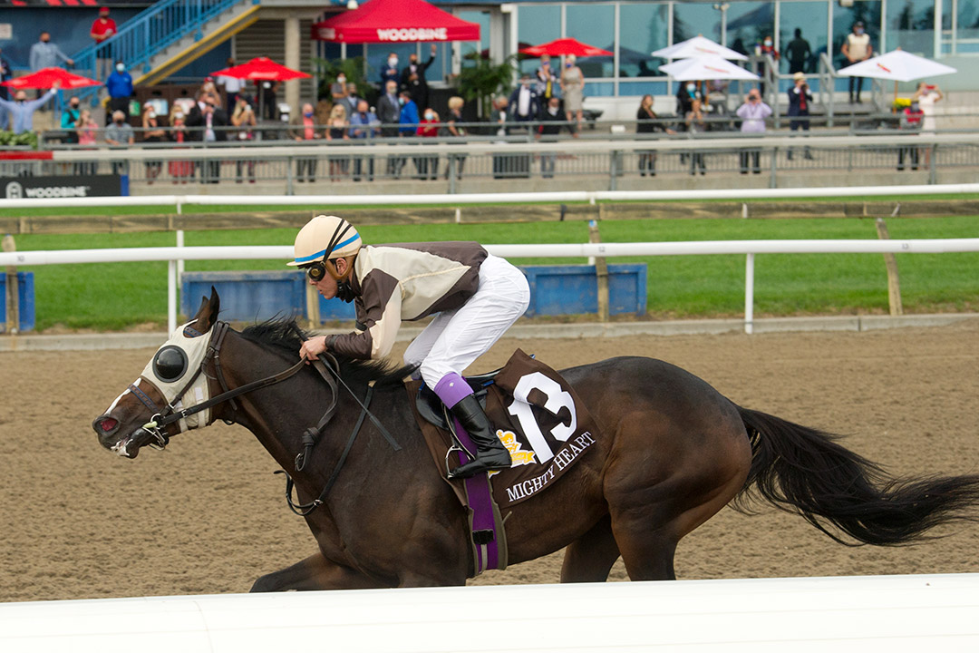 Mighty Heart wins the 2020 Queen's Plate at Woodbine