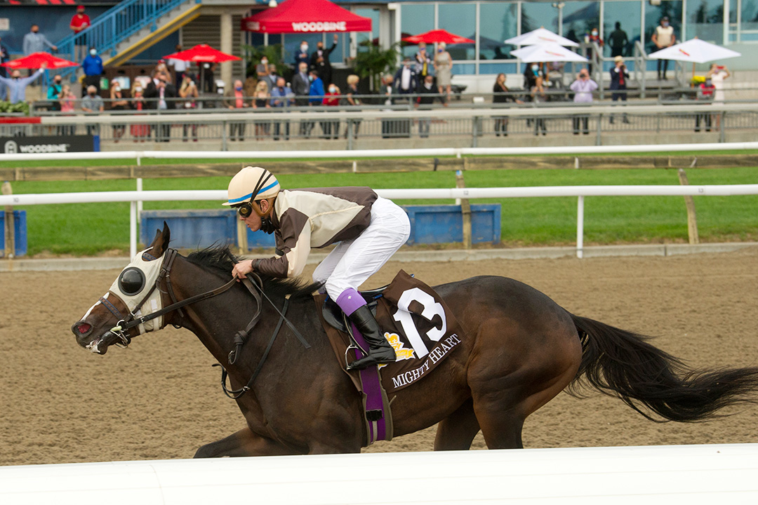 Mighty Heart wins the 2020 Queen's Plate at Woodbine