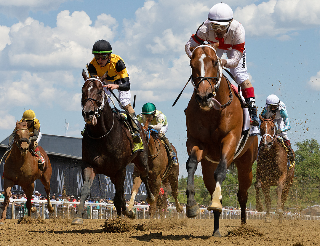 Mighty Mischief wins the 2021 Chick Lang Stakes at Pimlico Race Course