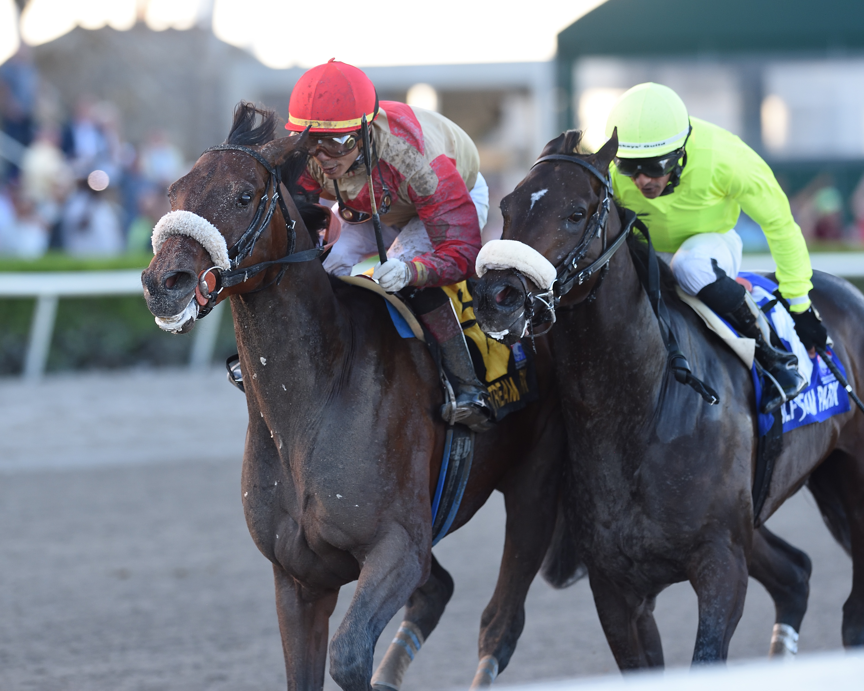 Mihos wins 2019 Mucho Macho man