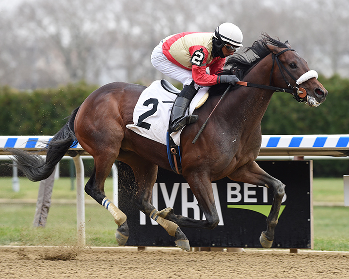 Mihos wins a Nov. 24 maiden race