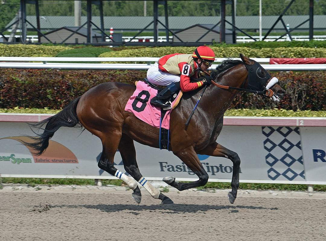 Mihos wins an April 17 allowance at Gulfstream Park
