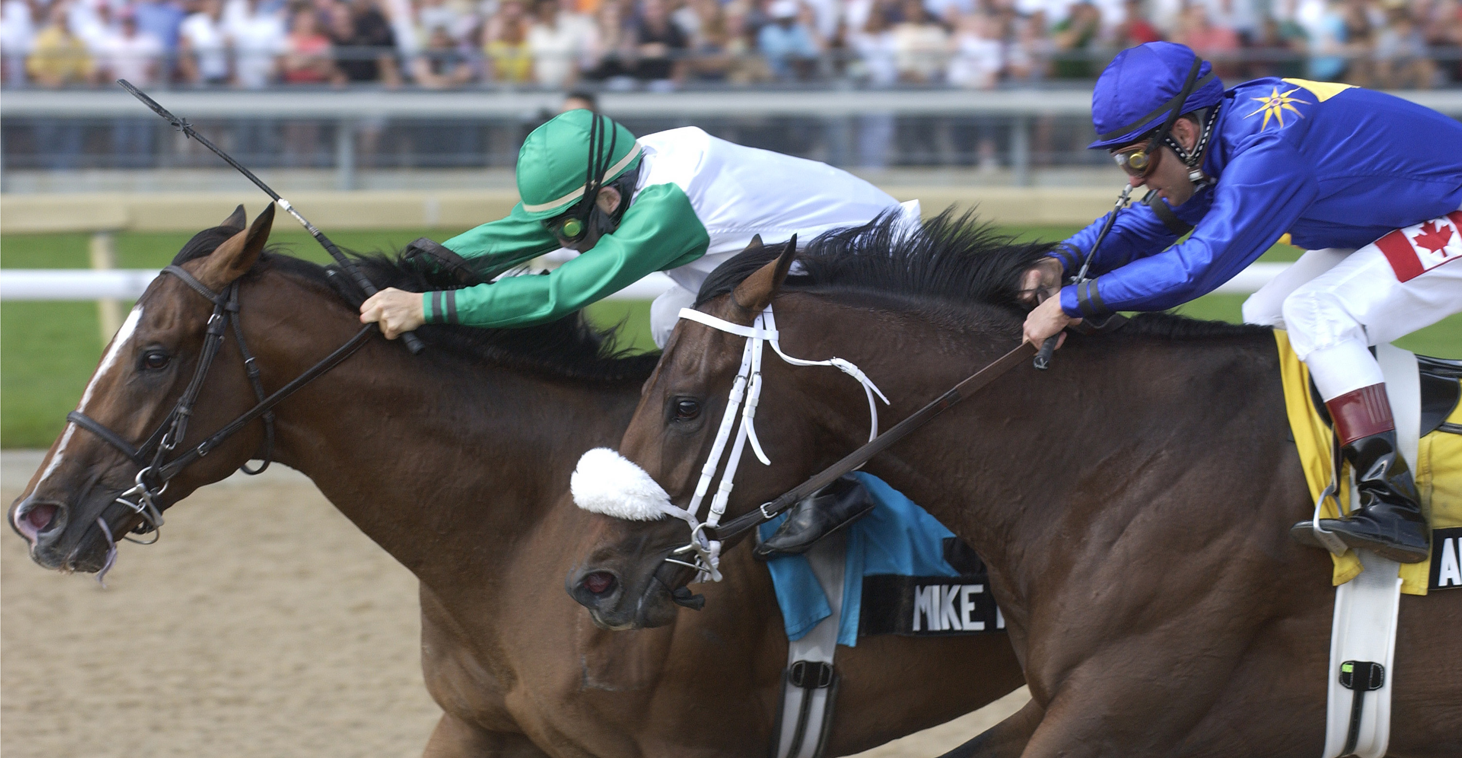 Mike Fox/Queen's Plate