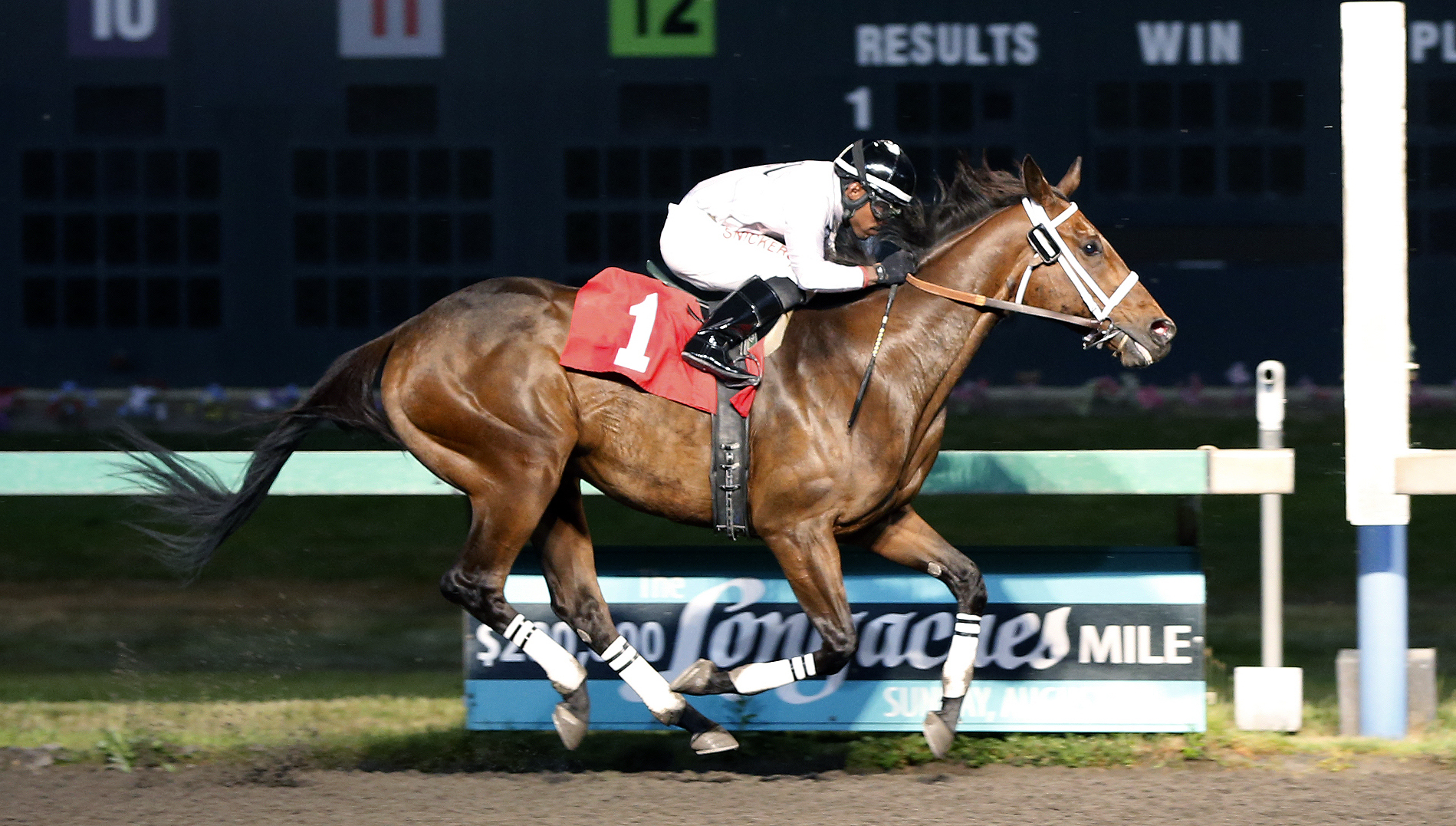 Mike Man's Gold wins a May 13, 2016 claiming race