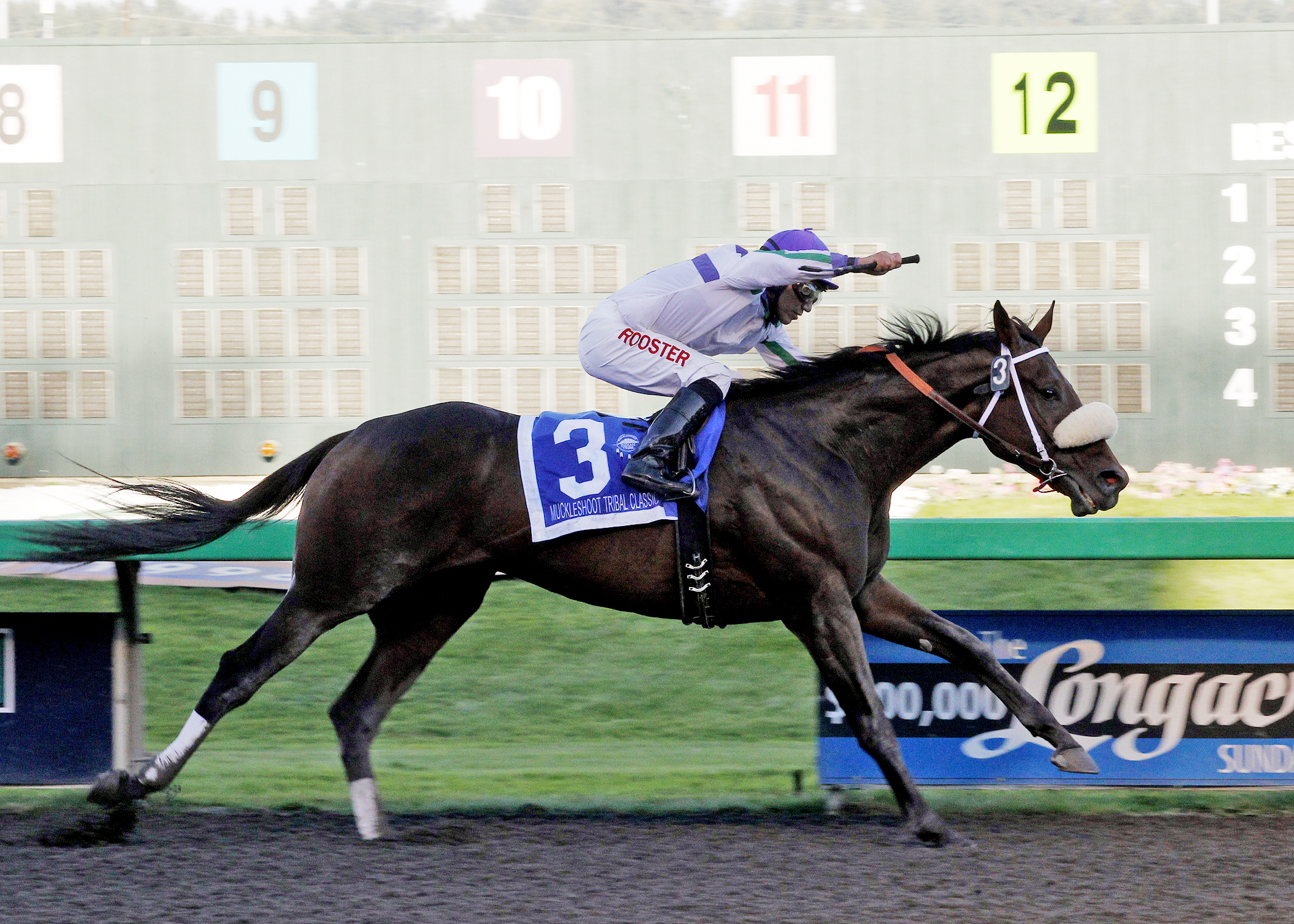 Mike Man's Gold wins the 2014 Muckleshoot Tribal Classic