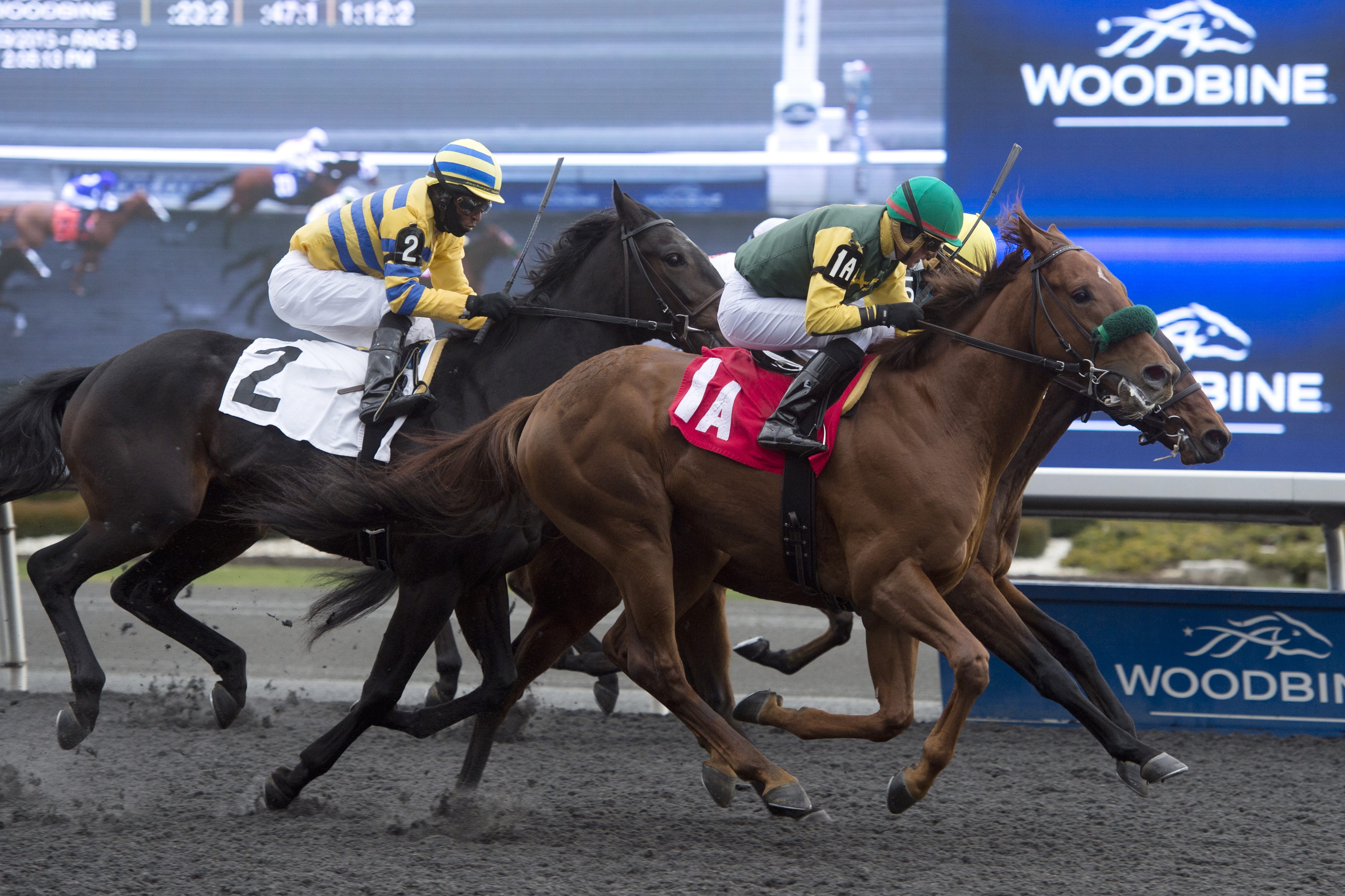 Mike wins a maiden race