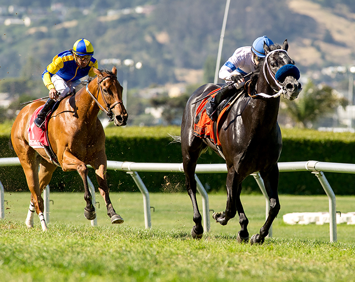 Mikes Tiznow wins the Albany Stakes