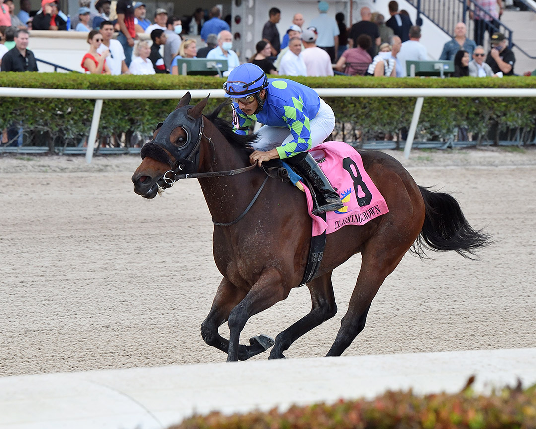 Miles Ahead wins the 2021 Claiming Crown Rapid Transit at Gulfstream Park