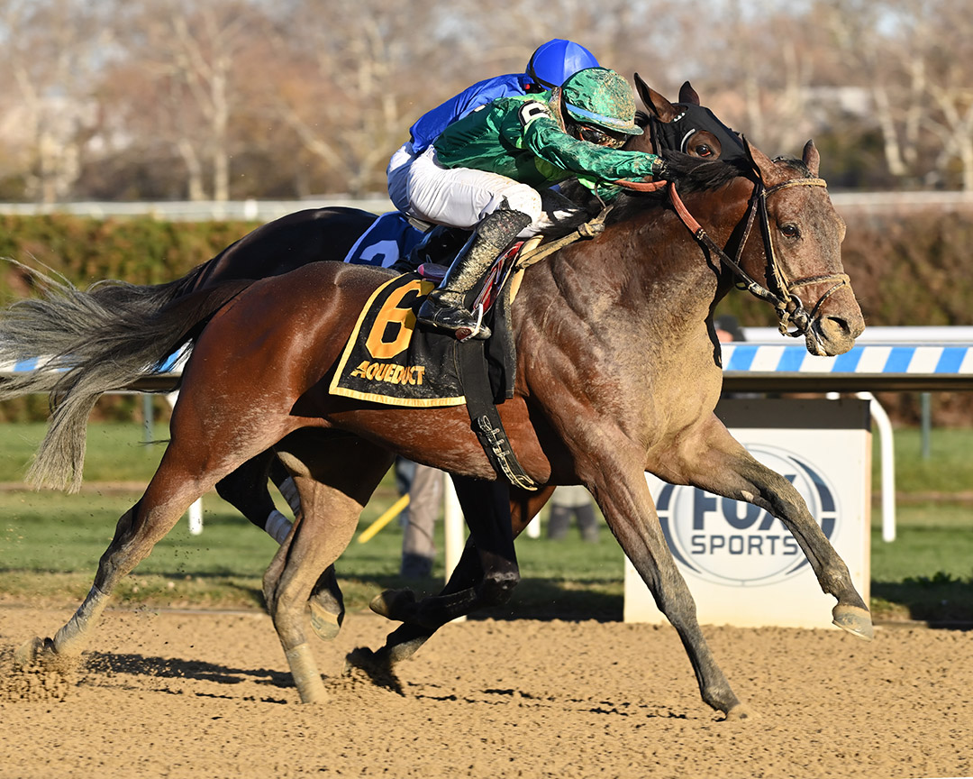 Miles D wins the 2021 Discovery Stakes at Aqueduct Racetrack