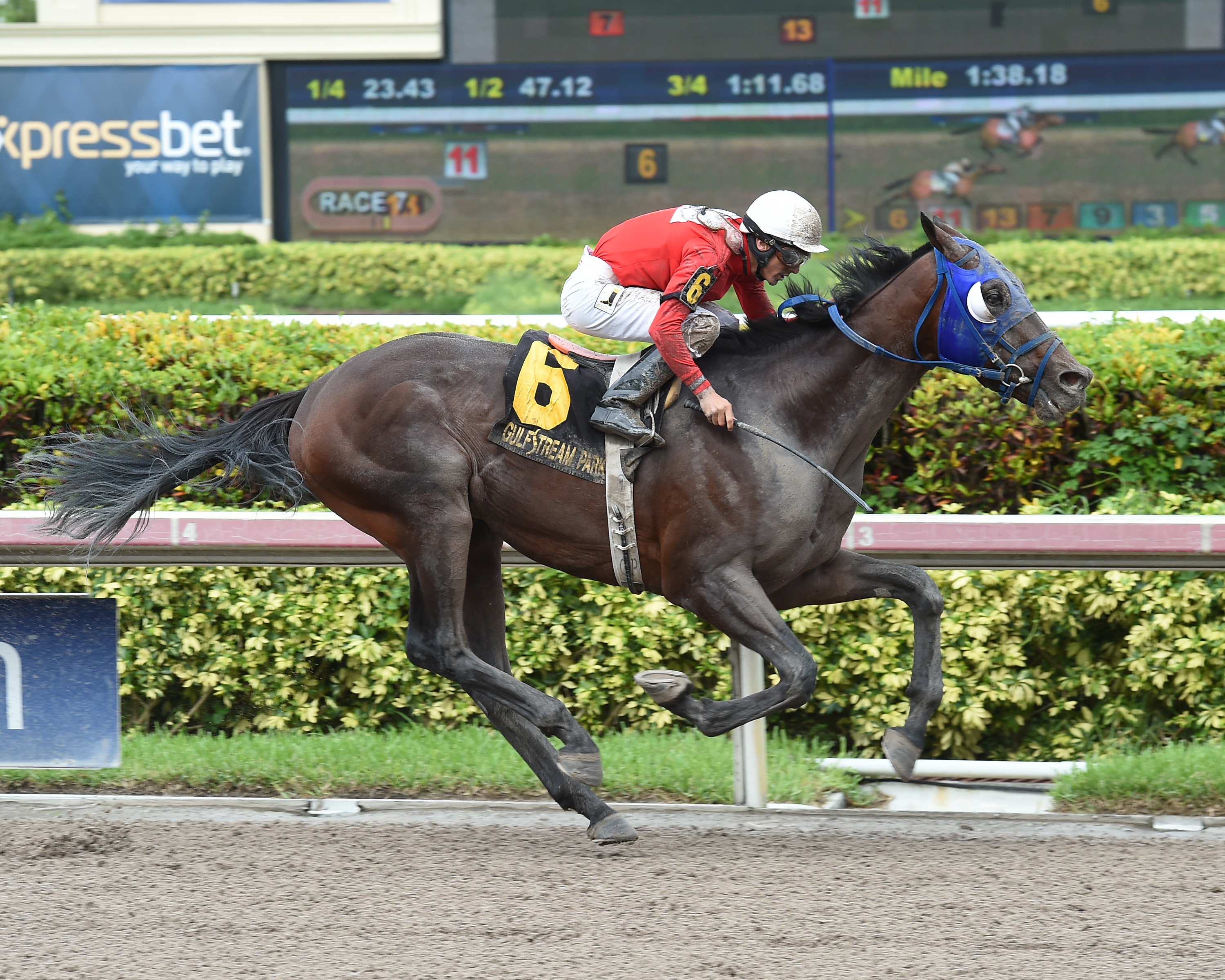 Millionaire Runner wins the 2018 Home of the Brave Handicap