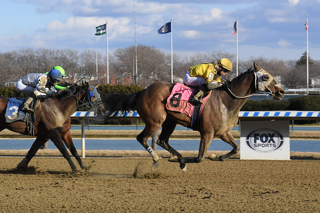 Mills wins a Jan. 18 claiming race at Aqueduct Racetrack