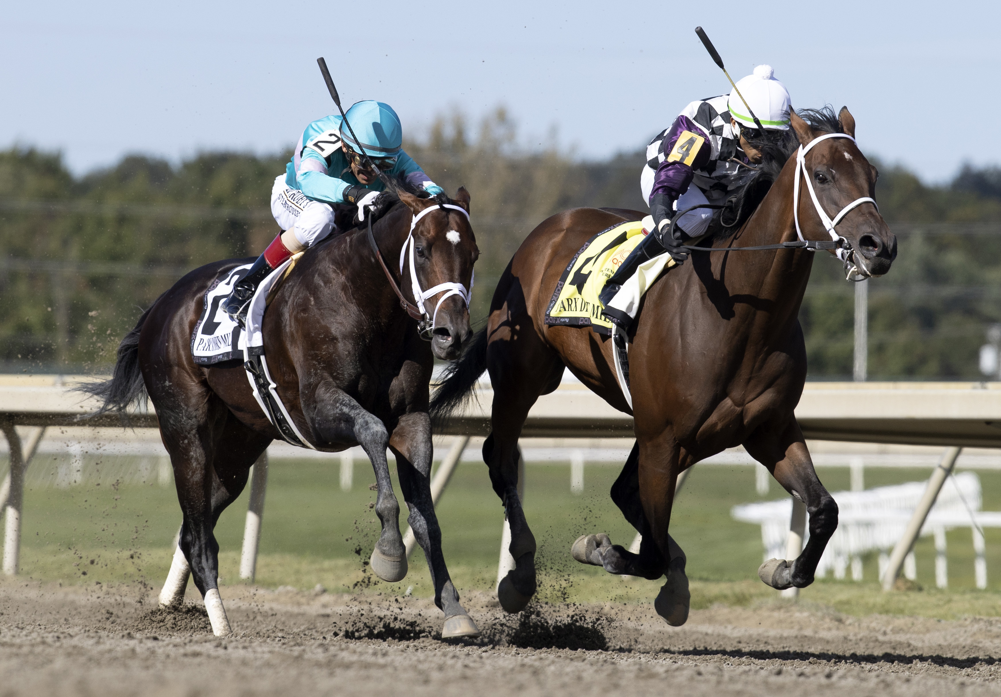 Mind Control (left) finished 2nd to Far Mo Power in Parx Dirt Mile but was placed first.Sept 24 2022