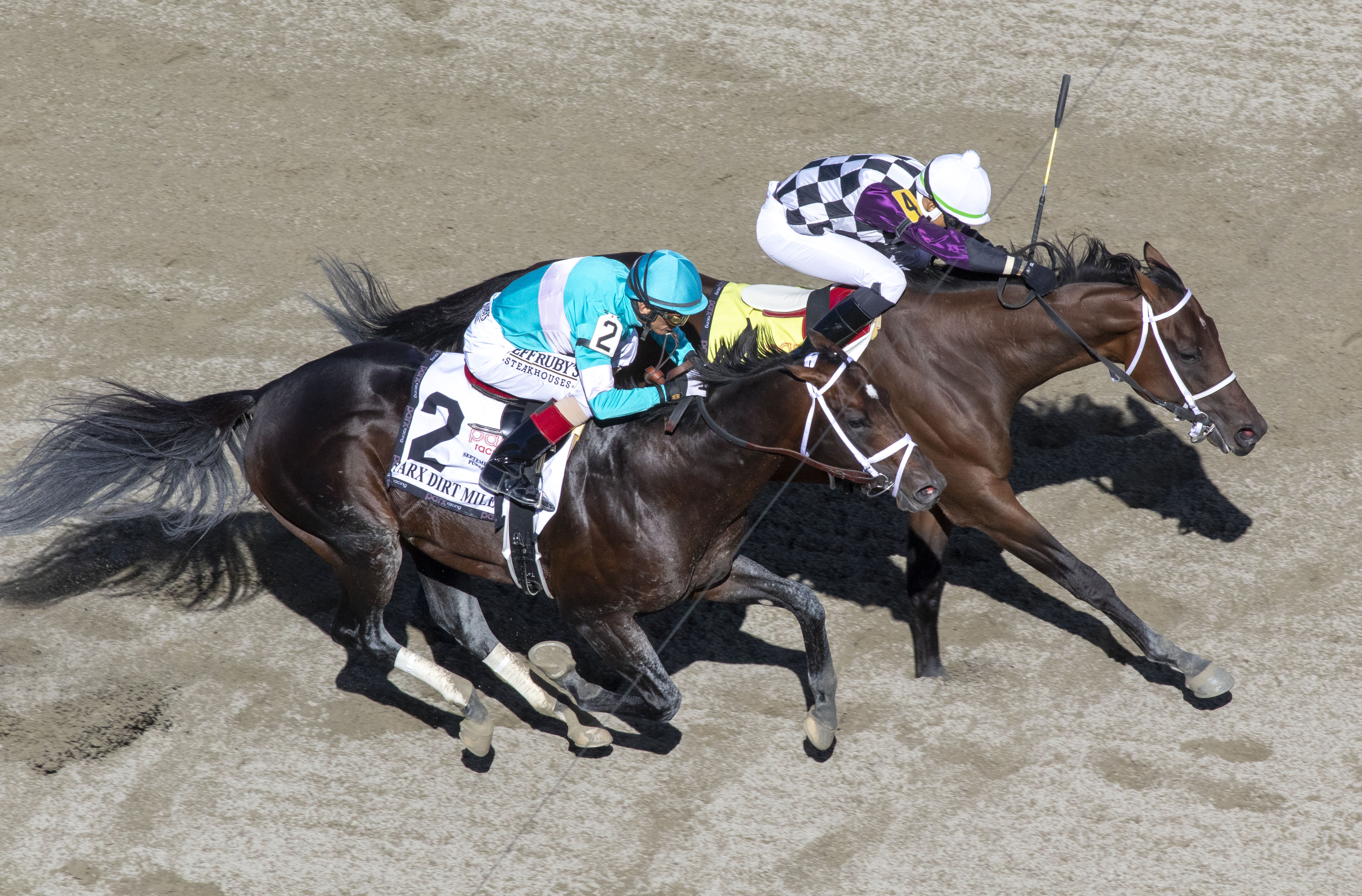 Mind Control/Far Mo Power/Parx Dirt Mile