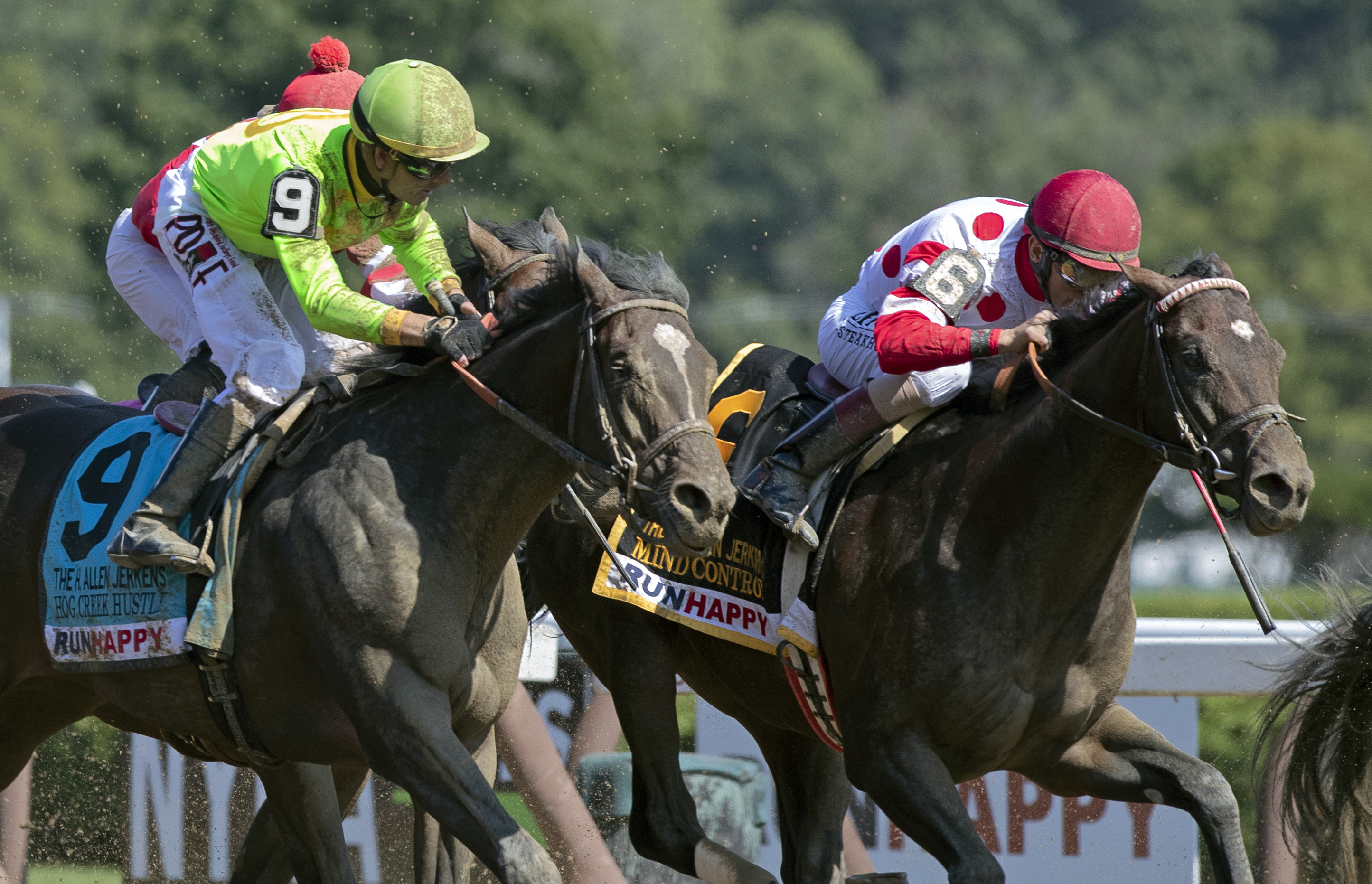 Mind Control (right) defeats Hog Creek Hustle in the 2019 H. Allen Jerkens Stakes