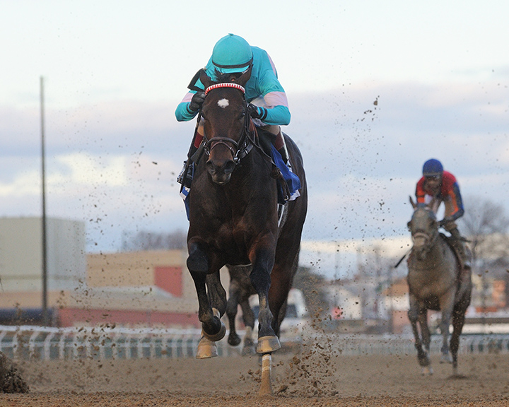 Mind Control wins the 2018 Jerome Stakes