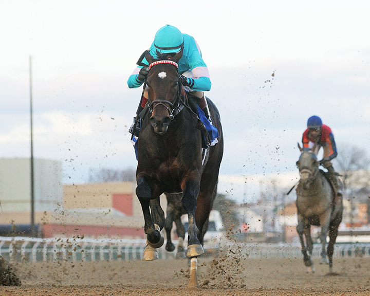 Mind Control wins the 2019 Jerome Stakes