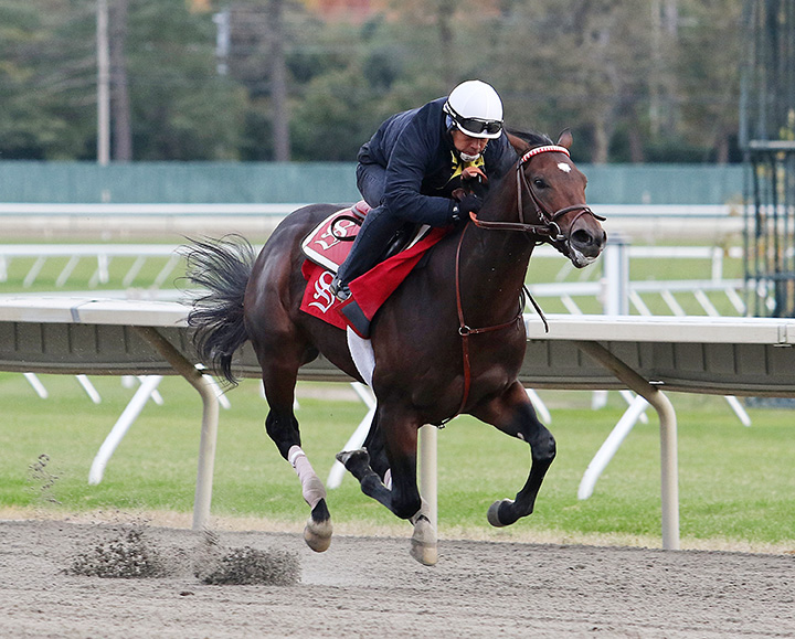 Mind Control trains at Monmouth Park on Oct. 26