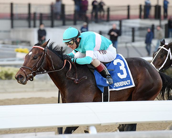 Mind Control wins the 2018 Jerome Stakes